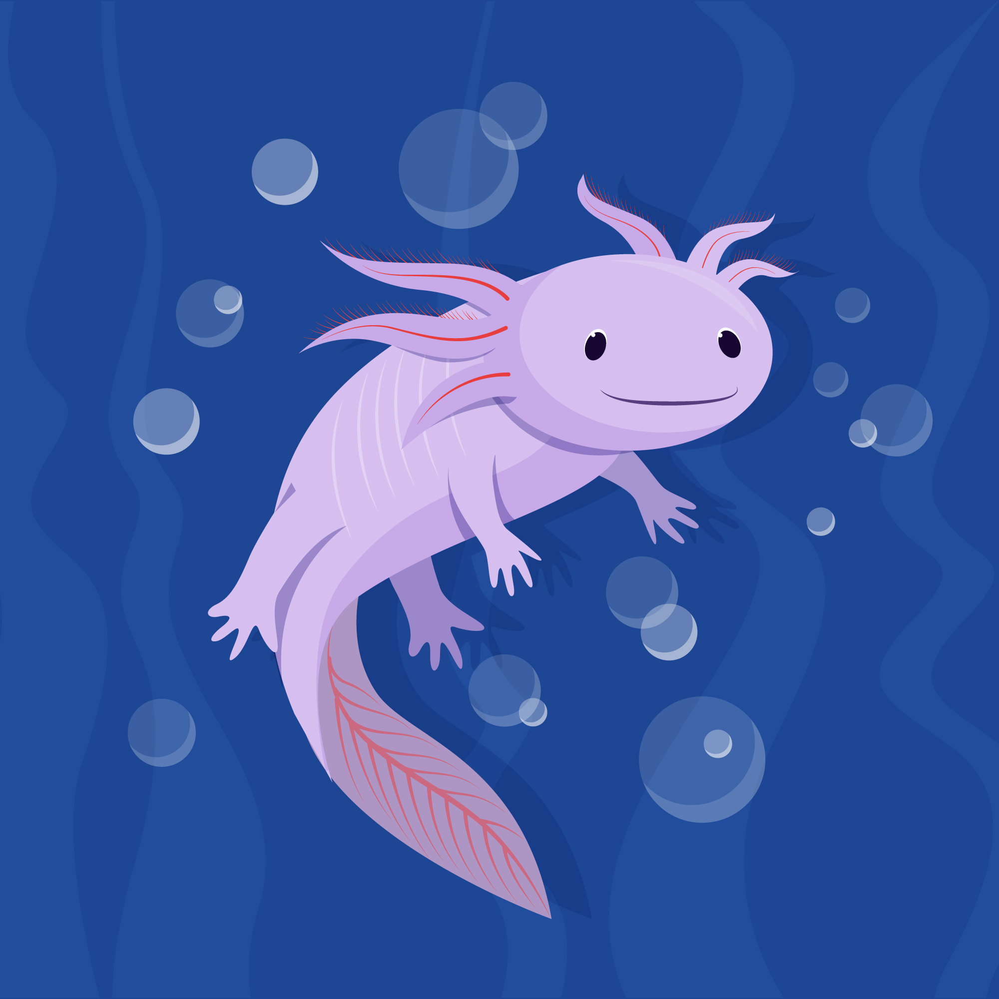 hand drawn axolotl on a dark blue background